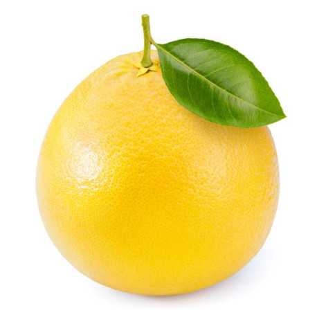 GRAPEFRUIT BLANC 35PCS